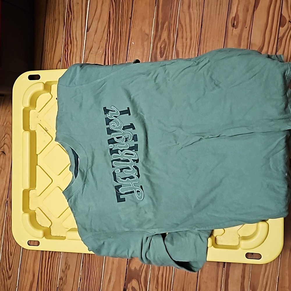 Green Tommy Hilfiger Shirt